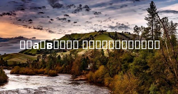 ��а�в�ת�� �����������Ʒ